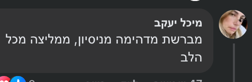 ביקורת לקוח 3