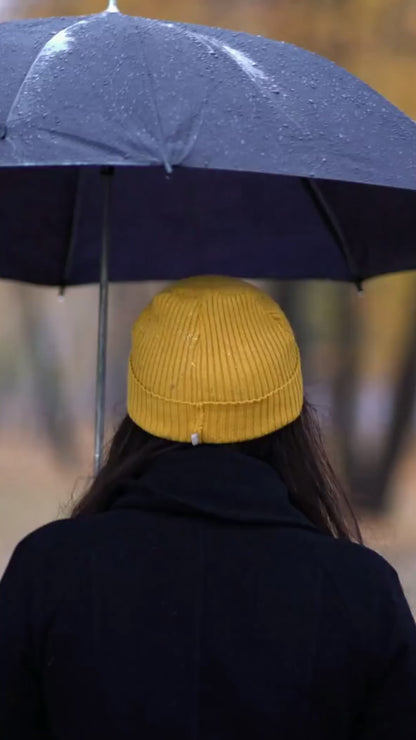 Wellisair | מחטא אוויר